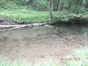 $KettleCreekValley6-12 thru 6-16-2021034$ Water was adequate but still low and not really ideal for trout. Still, the brookies seem to like it.